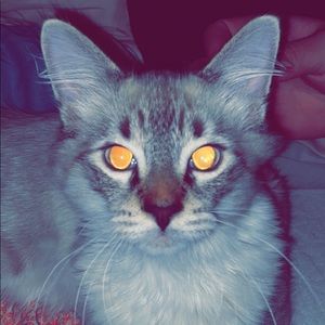 Meet your Posher, Chris